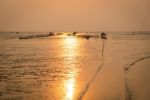 Quels sont les meilleurs spots pour la plongée avec les tortues marines aux Galápagos ?